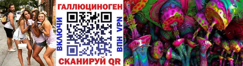 Псилоцибиновые грибы GOLDEN TEACHER  Купить  Куртамыш 